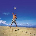 Volleybal